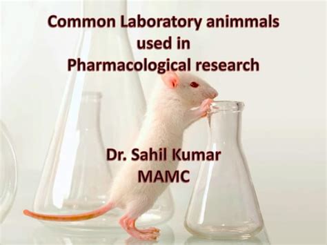 Laboratory Animals | PPT