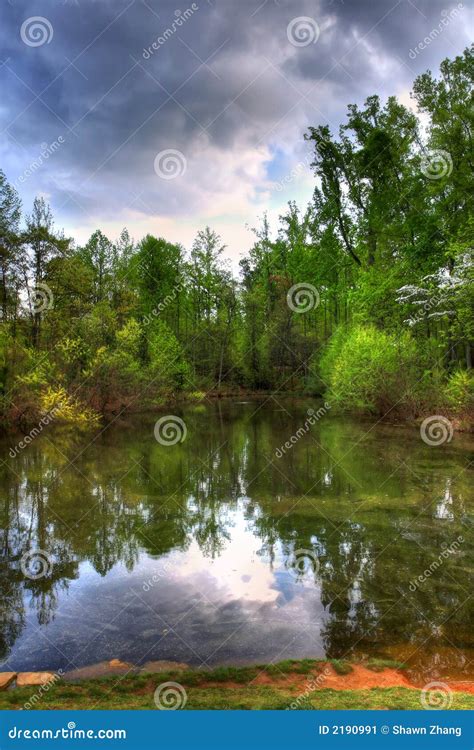 Reflection of a Pond stock image. Image of branch, forest - 2190991