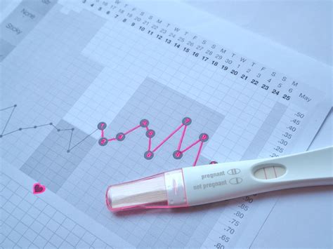 Basal Body Temperature and Ovulation: How To Track Your BBT