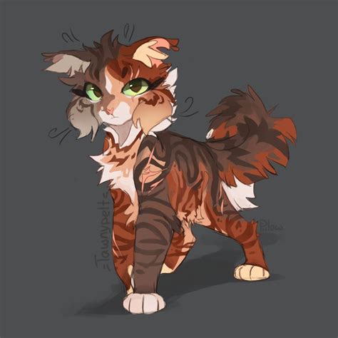 Tawnypelt by GrayPillow on DeviantArt in 2021 | Warrior cats fan art ...