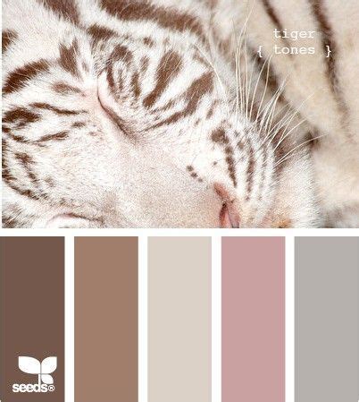 Tiger Color Palette Paint Schemes, Colour Schemes, Color Combos, Paint Combinations, Colour ...