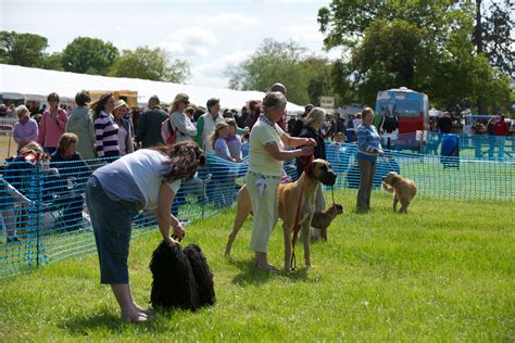 Our popular Dog Show with pedigree and fun classes. www.bolesworthinternational.com | Popular ...