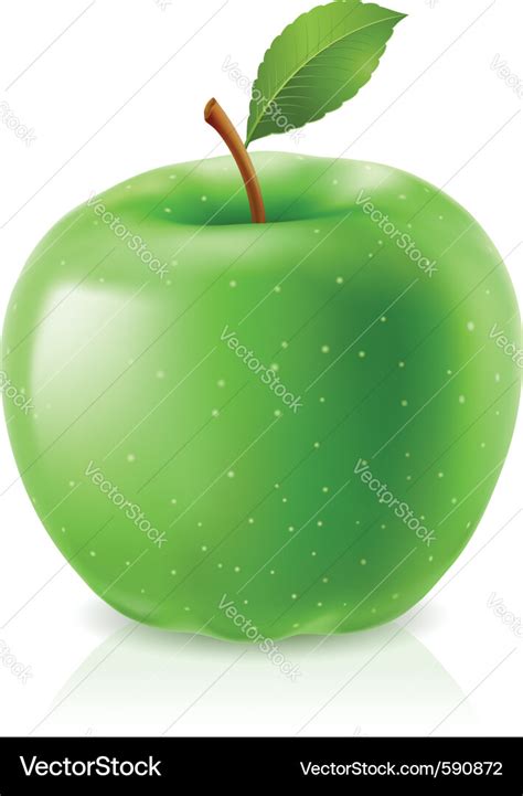 Green apple Royalty Free Vector Image - VectorStock