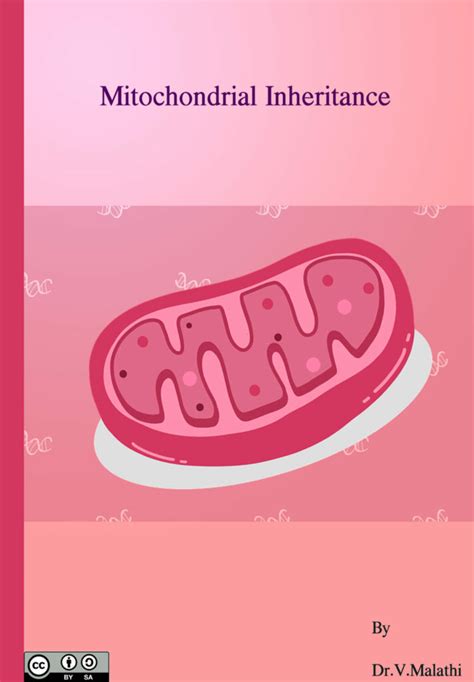 Cover - Mitochondrial Inheritance