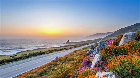 Download Horizon Flower Big Sur California Coast Man Made Road HD Wallpaper