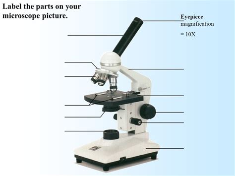 Microscope Diagram And Functions