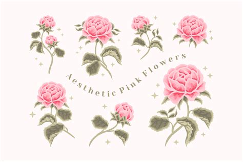 Aesthetic Pastel Pink Rose Flower Set Graphic by artflorara · Creative Fabrica