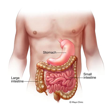 Gastroenteritis Symptoms