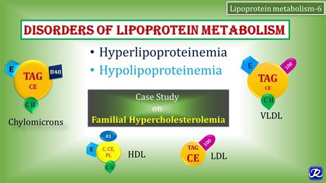 24: Disorders of Lipoprotein Metabolism | Lipid Metabolism ...