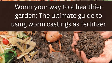 Worm Your Way To a Healthier Garden: The Ultimate Guide to Using Worm Castings as Fertilizer ...