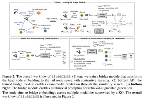 Amazon AI Research Introduces BioBRIDGE: A Parameter-Efficient Machine ...