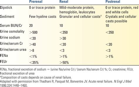 Acute Kidney Injury | Anesthesia Key