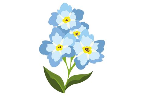 Alaska State Flower - Myosotis Alpestris SVG Cut file by Creative ...