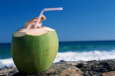 Main Health Benefits Of Drinking Buko Juice - Philippine Trending News