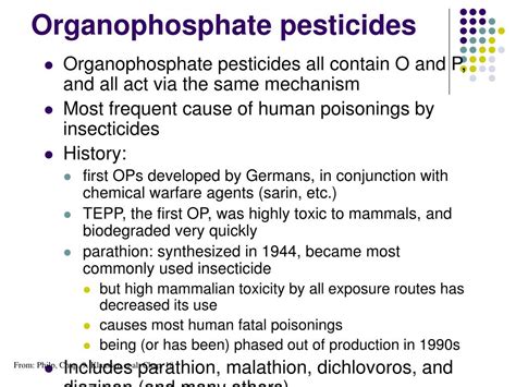 PPT - Pesticides and pest control PowerPoint Presentation, free ...