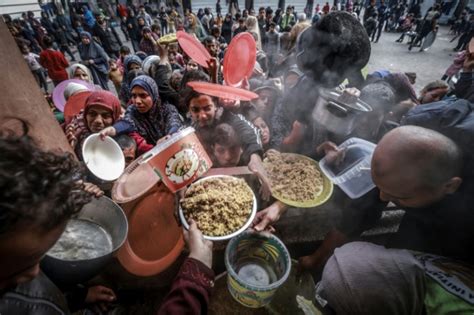 WFP Stops Delivering Food Parcels To Gaza Despite Famine Warning | IBTimes UK