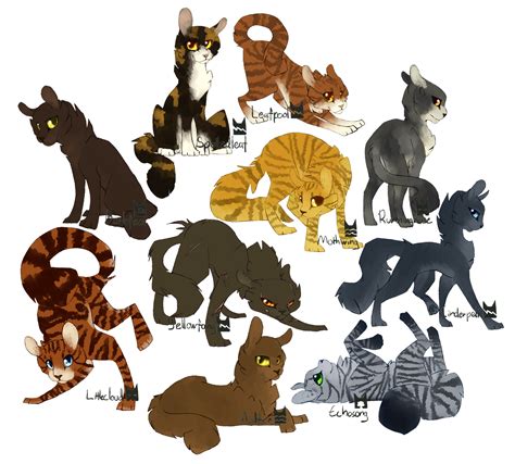 Medicine Cats by revioLATE on DeviantArt