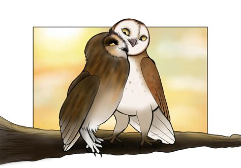 Guardians of Ga'Hoole: Soren and Otulissa (owls) by UrDar16 on DeviantArt