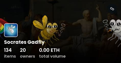 Socrates Gadfly - Collection | OpenSea