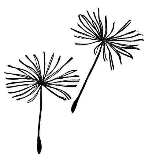 Dandelion Template Printable - Printable Templates