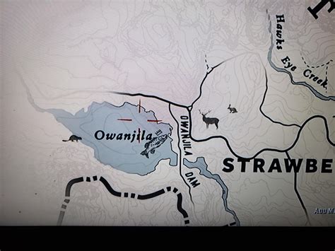 Black Bear spawn location : r/reddeadredemption2