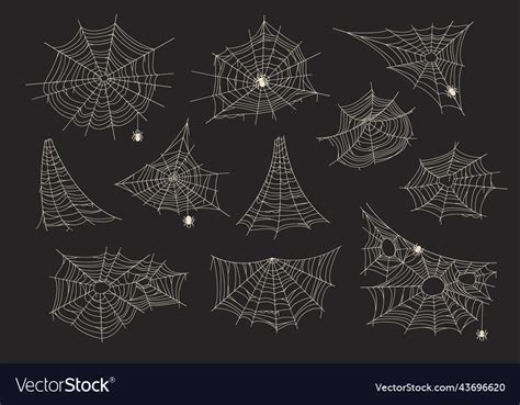 Abandoned cobwebs spiderweb closeup on black Vector Image