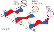 光的偏振_360百科
