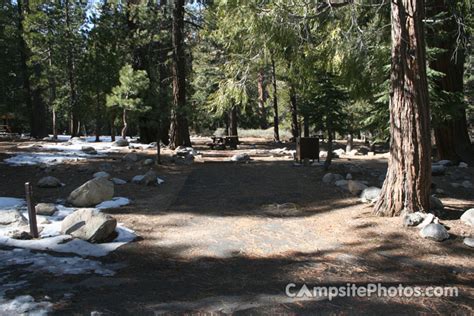 Buckhorn Campground - Campsite Photos and Campground Information