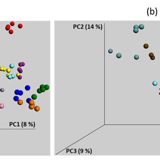 (PDF) Composition and Function of Chicken Gut Microbiota