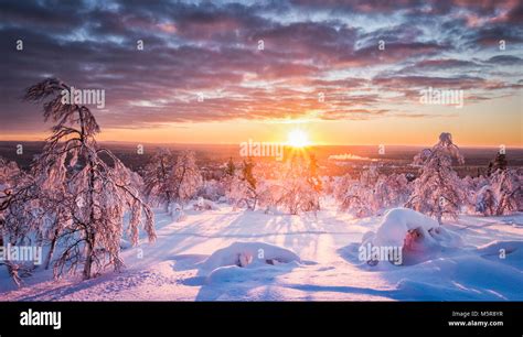 Panoramic view of beautiful winter wonderland scenery in scenic golden ...