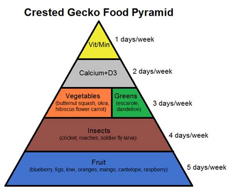 Crested Gecko Food Pyramid - Complete Critter