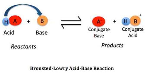 Bronsted Lowry Acids And Bases Worksheets Key