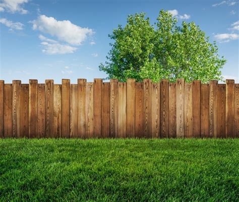 3 Different Fencing Material Options For Your Yard