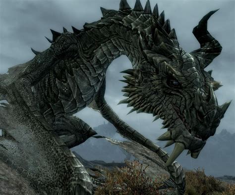 Dragons (Lore) | Elder Scrolls | Fandom powered by Wikia | Skyrim ...