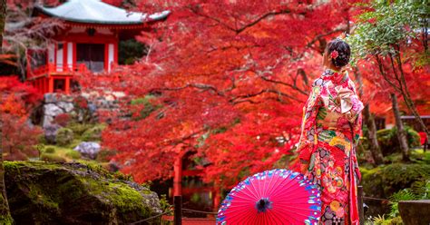 Cycling In Japan: A Detailed Guide On Japanese Bike Culture