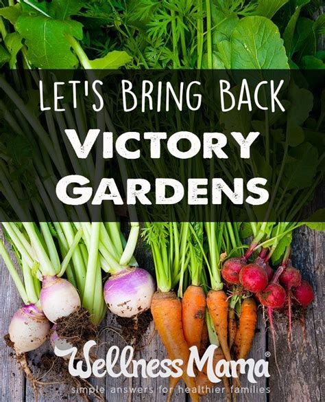 Our grandparents generation had victory gardens to help contribute to the food supply, and doing ...