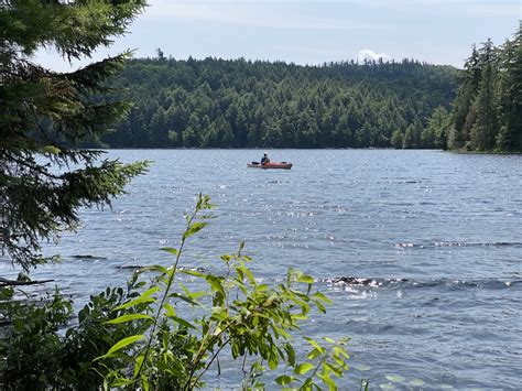 3 easy trails to hike in Algonquin provincial Park - I Took That Road