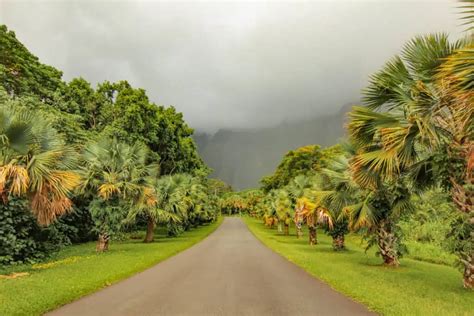 Everything to Know Before Visiting the Ho'omaluhia Botanical Garden · Le Travel Style