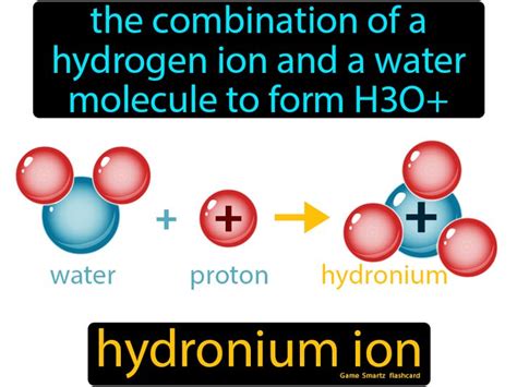 Hydronium Ion - Easy Science | Easy science, Chemistry, Water molecule