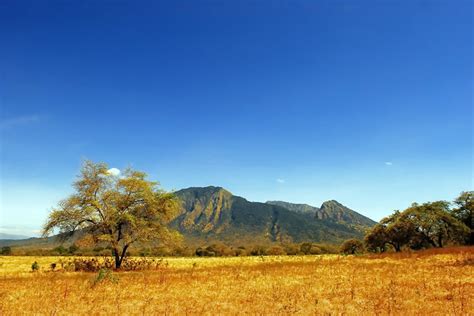 Baluran National Park ~ sewa mobil banyuwangi