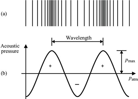 1 Representation of a sound wave: (a) compressions and rarefactions of... | Download Scientific ...