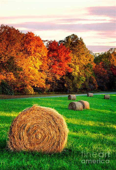 Blue Ridge - Fall Colors Autumn Colorful Trees and Hay Bales I Photograph by Dan Carmichael