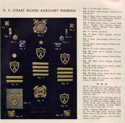 (2016) United States Coast Guard Auxiliary Insignia, Medals & Service Ribbons | Coast guard ...