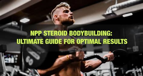 NPP Steroid for Bodybuilding: Ultimate Guide for Optimal Results