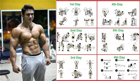 Pin on Gym workout chart