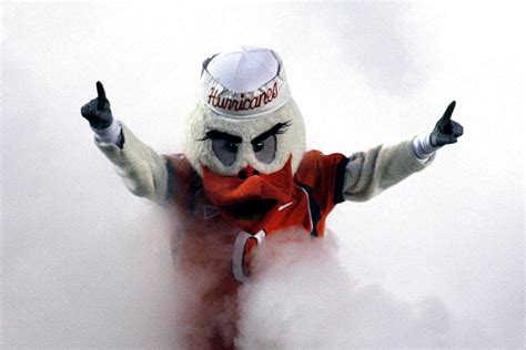 Miami Hurricanes Mascot: The History Behind Sebastian the Ibis