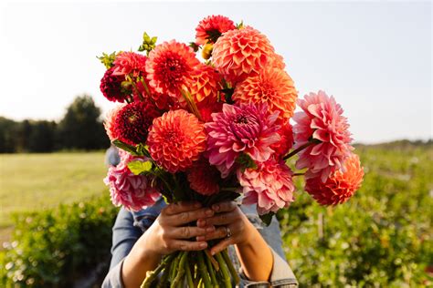 CT Grown Flowers - What to Get in April, and Where to Find It - CT Grown