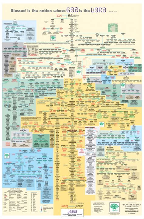 adam tree family - Recherche Google | Bijbelstudie, Stambomen, Bijbelstudies