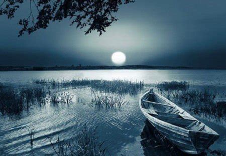 Moonlit Lake - Lakes & Nature Background Wallpapers on Desktop Nexus (Image 1205577)