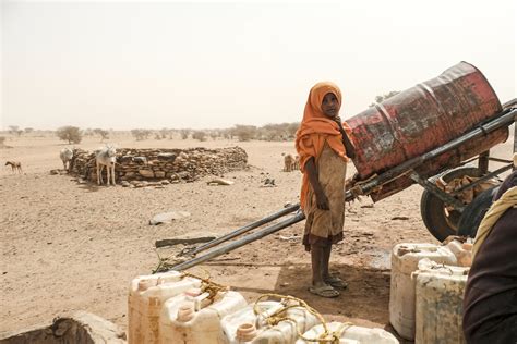 10 Crazy Facts About Desertification - The Borgen Project